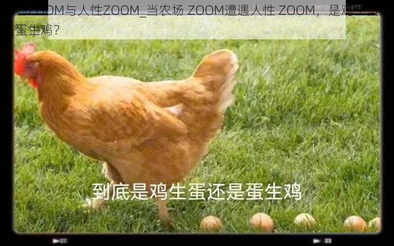 农场ZOOM与人性ZOOM_当农场 ZOOM遭遇人性 ZOOM，是鸡生蛋还是蛋生鸡？