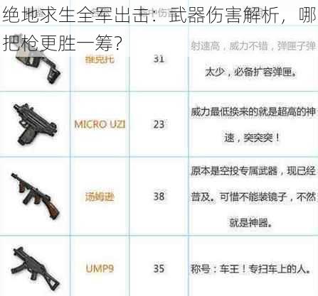 绝地求生全军出击：武器伤害解析，哪把枪更胜一筹？