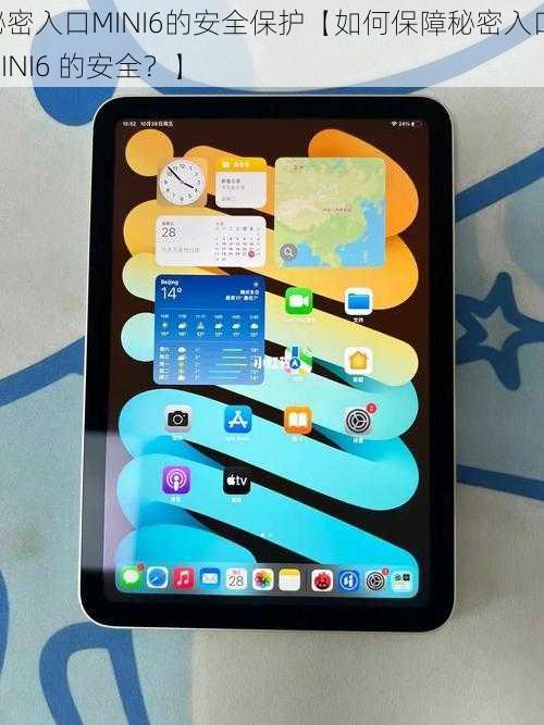 秘密入口MINI6的安全保护【如何保障秘密入口 MINI6 的安全？】