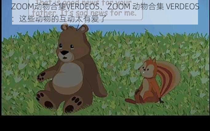 ZOOM动物合集VERDEOS、ZOOM 动物合集 VERDEOS：这些动物的互动太有爱了