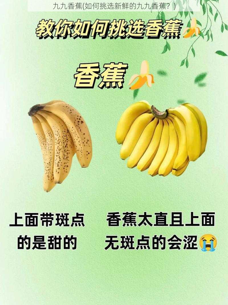 九九香蕉(如何挑选新鲜的九九香蕉？)