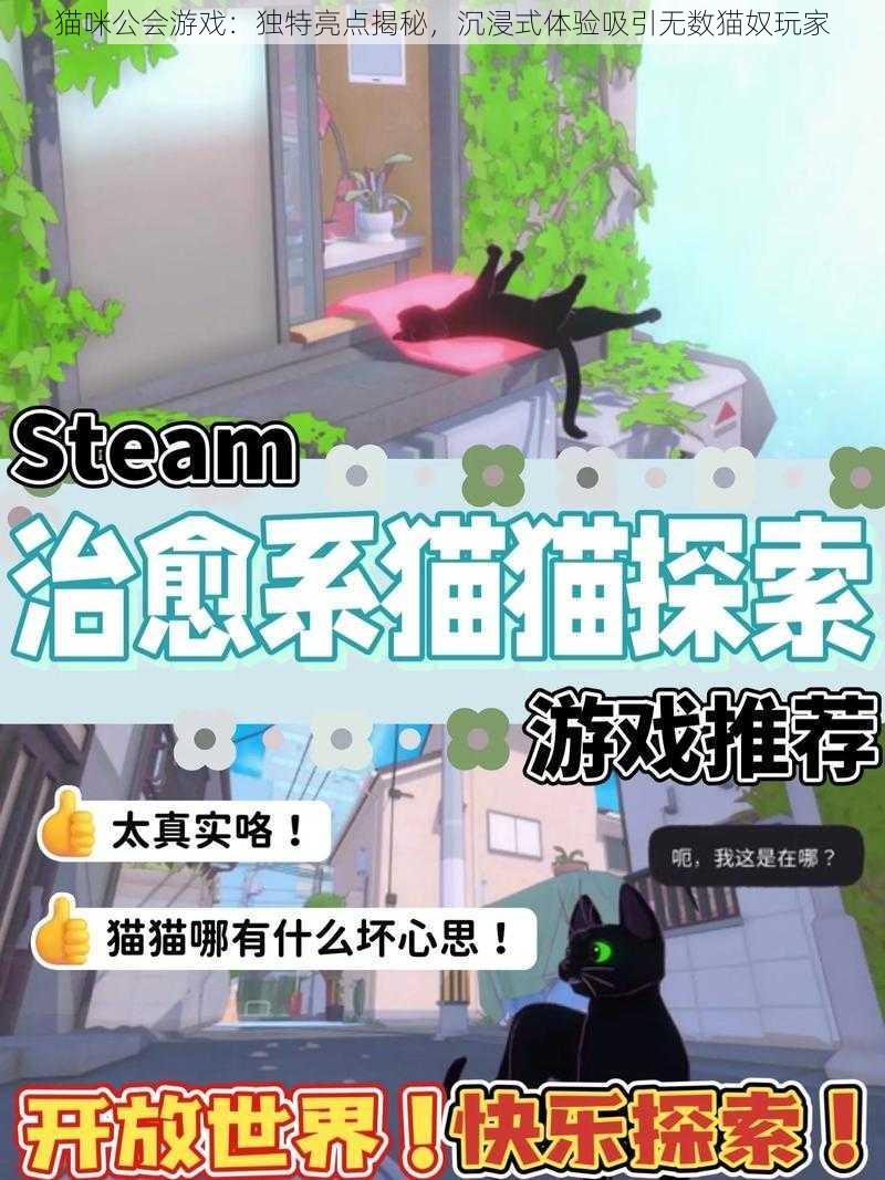 猫咪公会游戏：独特亮点揭秘，沉浸式体验吸引无数猫奴玩家