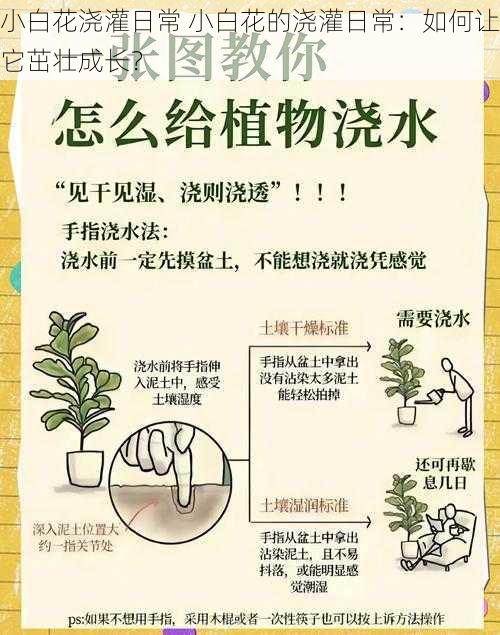 小白花浇灌日常 小白花的浇灌日常：如何让它茁壮成长？