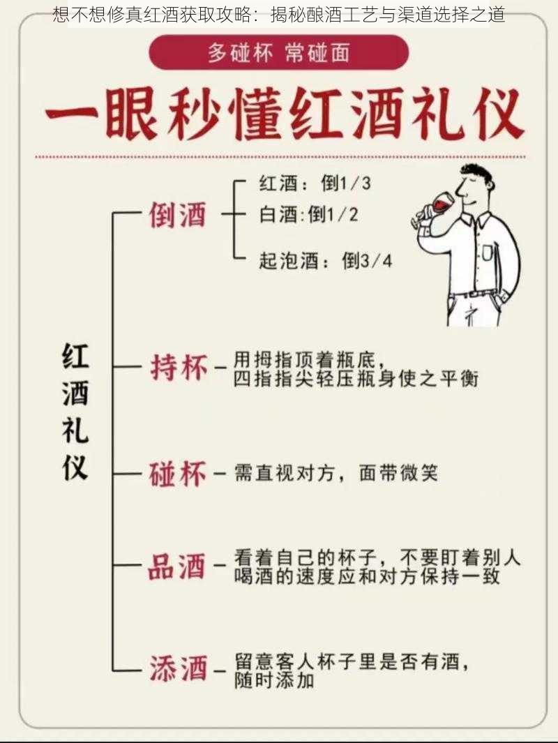 想不想修真红酒获取攻略：揭秘酿酒工艺与渠道选择之道