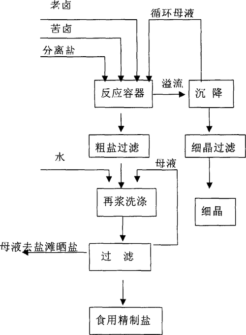 高质量制盐工艺流程全程展示视频：从原料到精盐的转化之旅