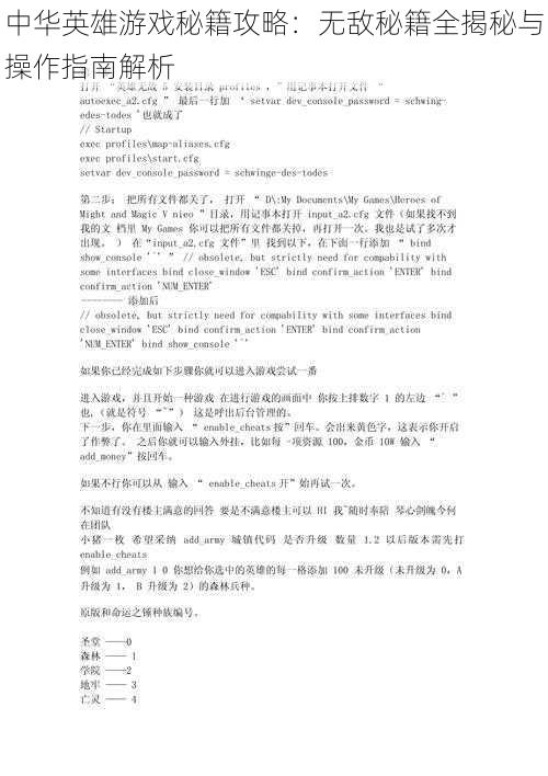 中华英雄游戏秘籍攻略：无敌秘籍全揭秘与操作指南解析