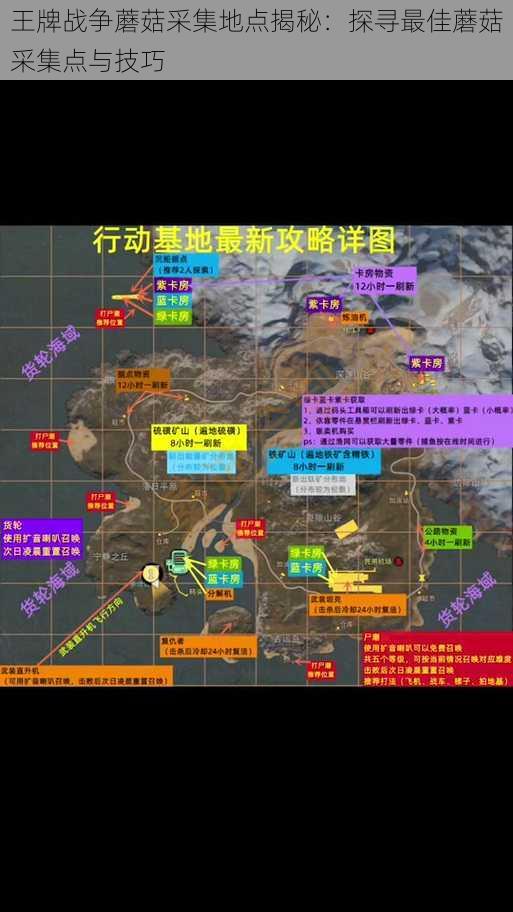 王牌战争蘑菇采集地点揭秘：探寻最佳蘑菇采集点与技巧