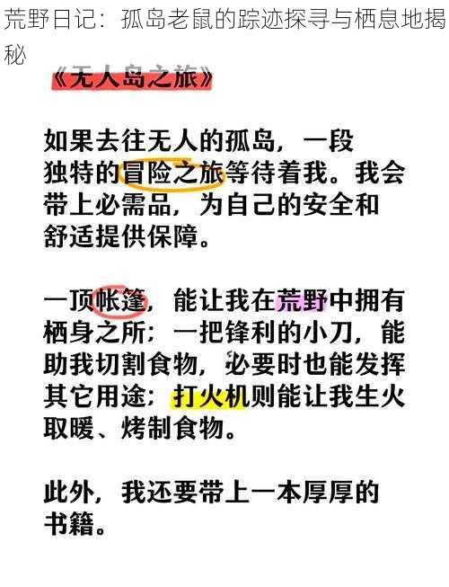 荒野日记：孤岛老鼠的踪迹探寻与栖息地揭秘