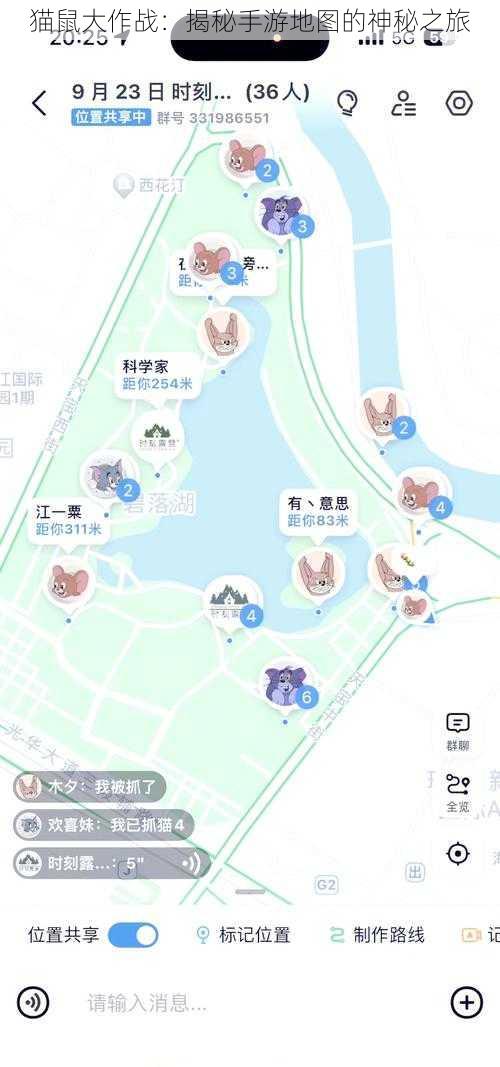 猫鼠大作战：揭秘手游地图的神秘之旅