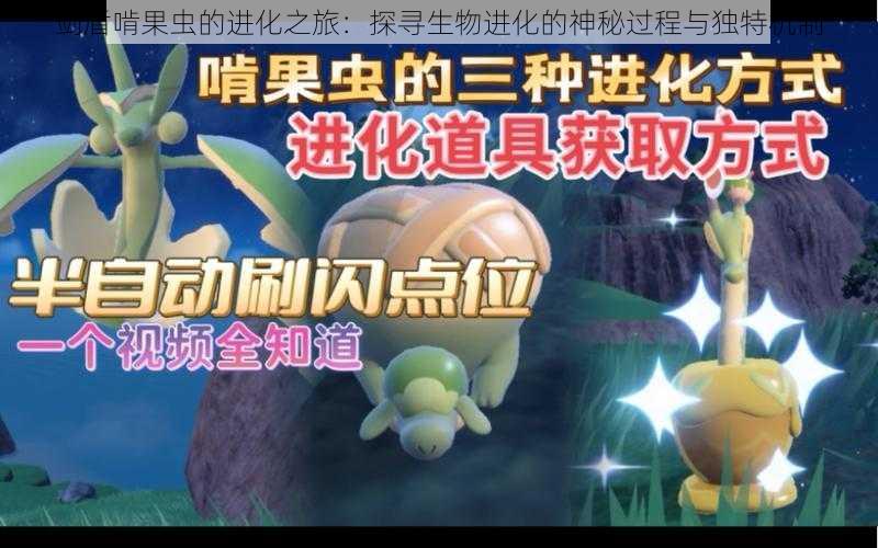 剑盾啃果虫的进化之旅：探寻生物进化的神秘过程与独特机制