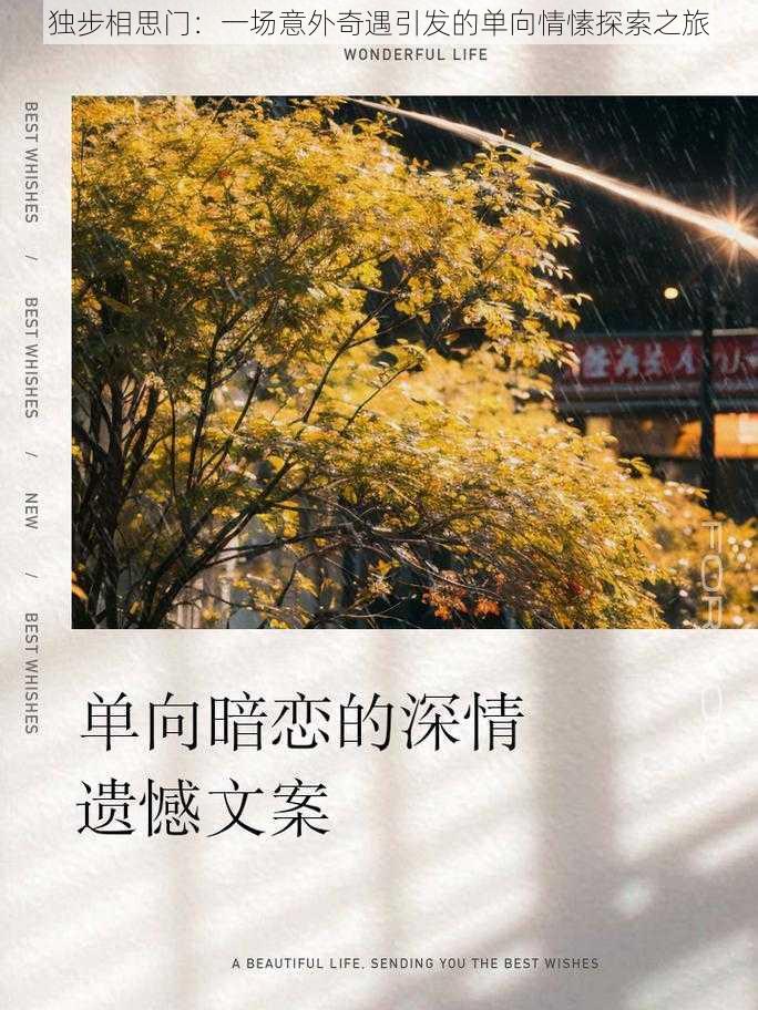 独步相思门：一场意外奇遇引发的单向情愫探索之旅