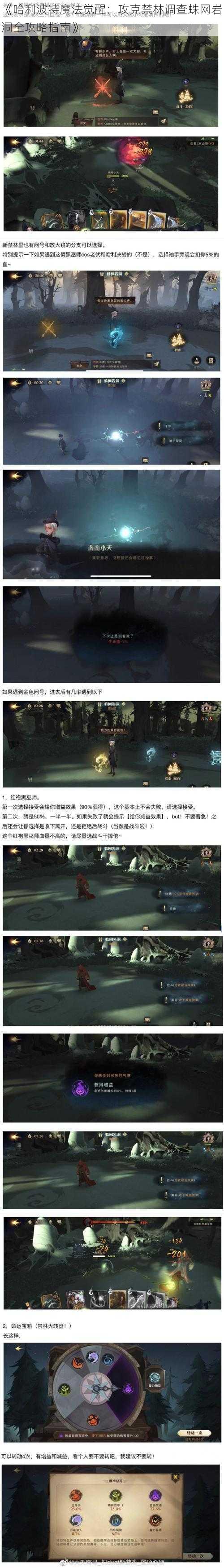 《哈利波特魔法觉醒：攻克禁林调查蛛网岩洞全攻略指南》