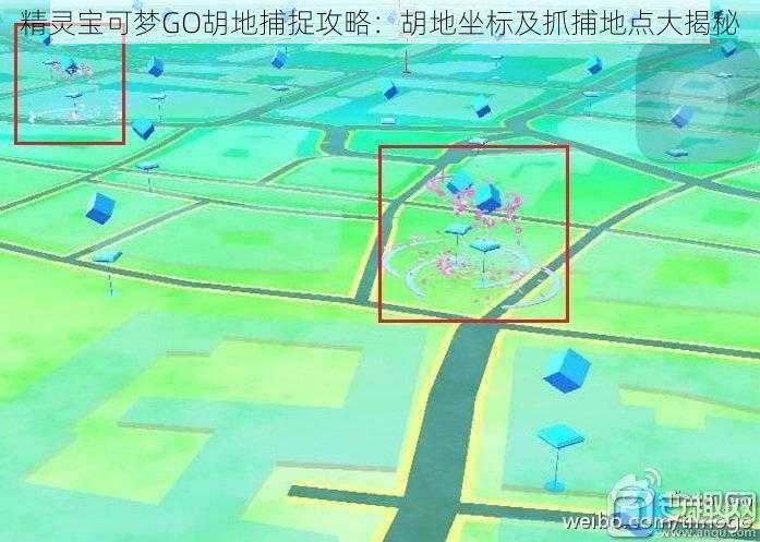 精灵宝可梦GO胡地捕捉攻略：胡地坐标及抓捕地点大揭秘