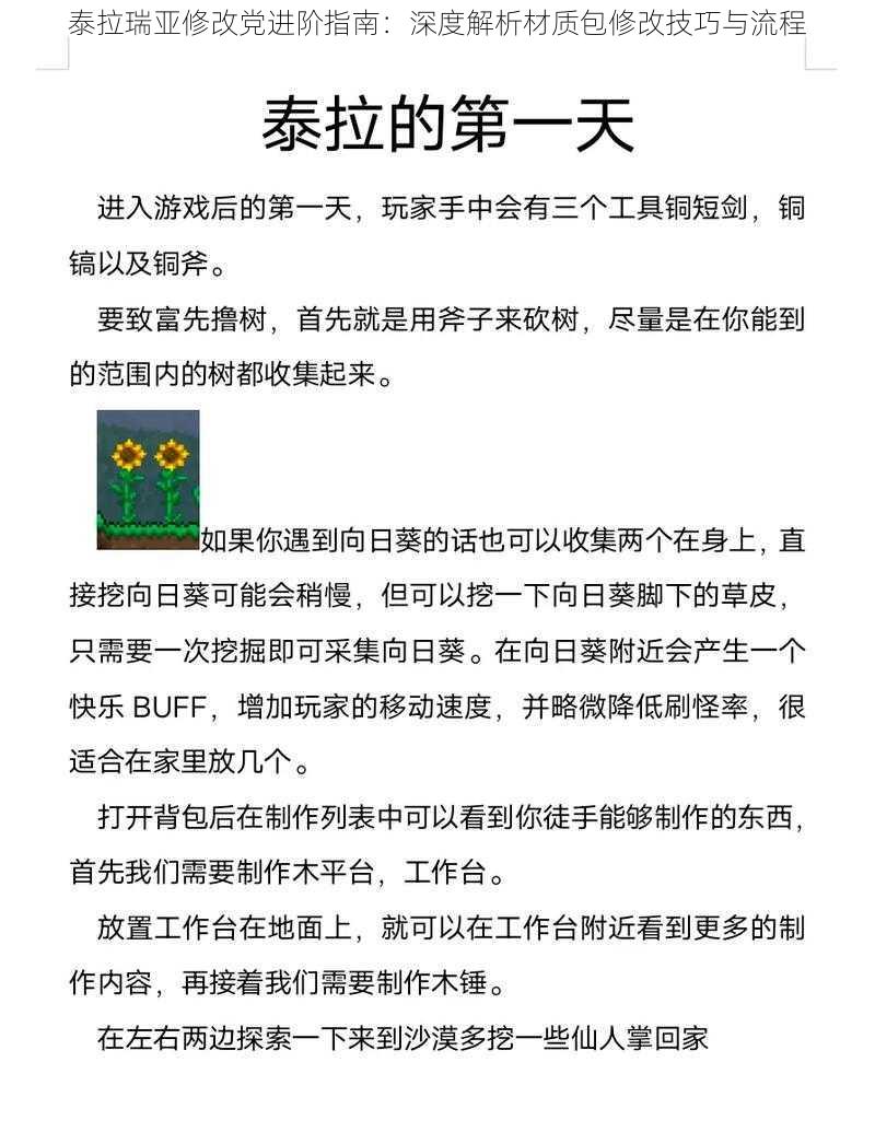 泰拉瑞亚修改党进阶指南：深度解析材质包修改技巧与流程