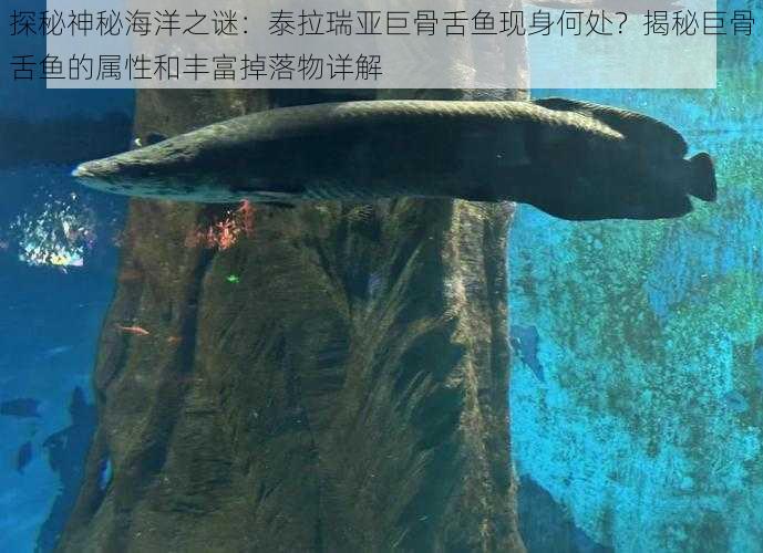 探秘神秘海洋之谜：泰拉瑞亚巨骨舌鱼现身何处？揭秘巨骨舌鱼的属性和丰富掉落物详解