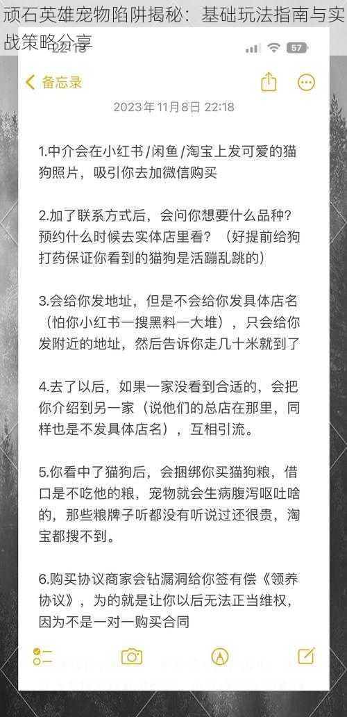 顽石英雄宠物陷阱揭秘：基础玩法指南与实战策略分享