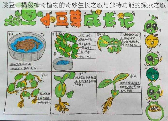 跳豆：揭秘神奇植物的奇妙生长之旅与独特功能的探索之旅